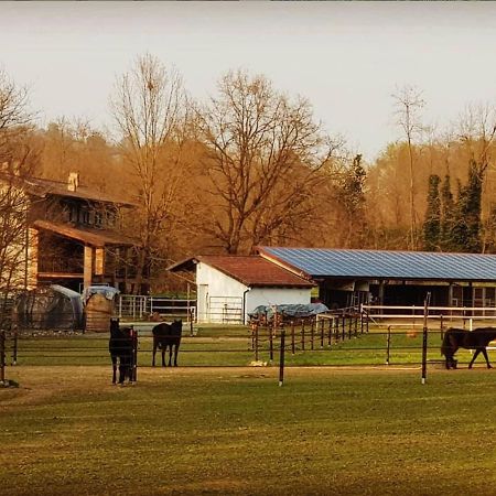 Cameloth B&B Settimo Rottaro Dış mekan fotoğraf