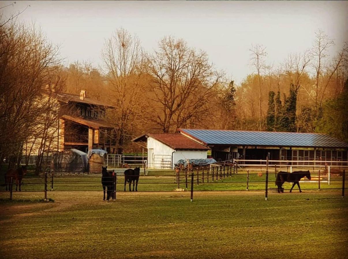 Cameloth B&B Settimo Rottaro Dış mekan fotoğraf