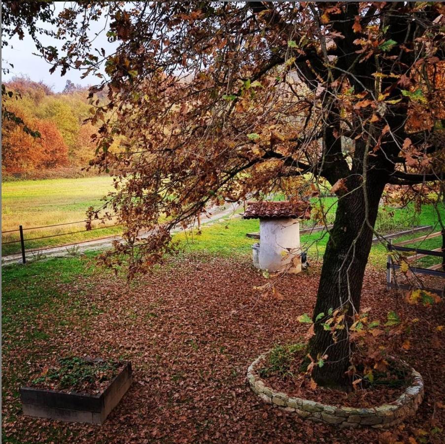 Cameloth B&B Settimo Rottaro Dış mekan fotoğraf