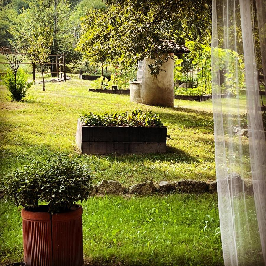 Cameloth B&B Settimo Rottaro Dış mekan fotoğraf